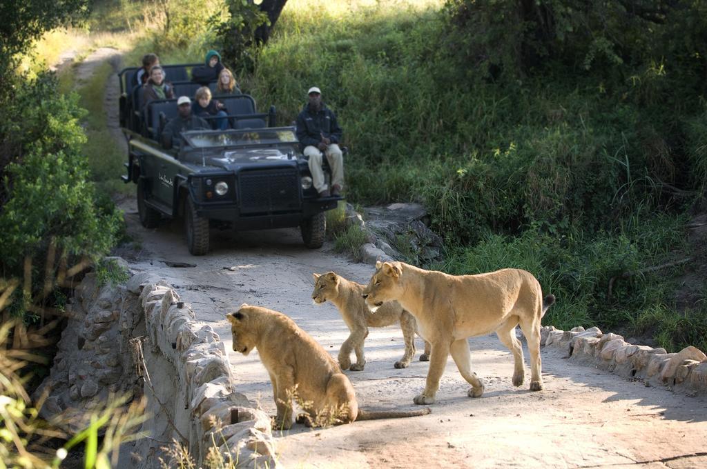 Lion Sands River Lodge Sabi-Sand-Reservat Exterior foto