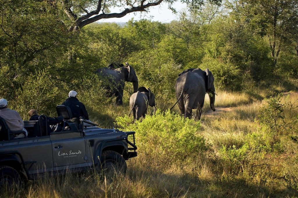 Lion Sands River Lodge Sabi-Sand-Reservat Exterior foto